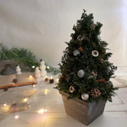 静かな森のクリスマスツリー＊37cm＊プリザーブド&ナチュラルウッドの卓上サイズ 7枚目の画像