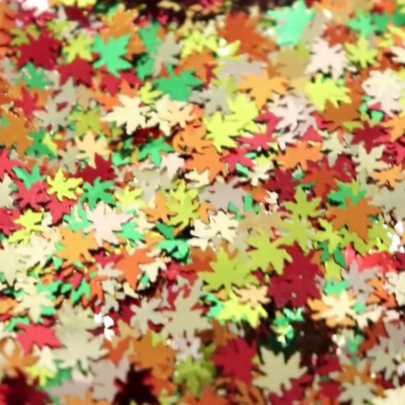 紅葉、楓、カエデホログラムB、ケース入り、6色セット 3枚目の画像