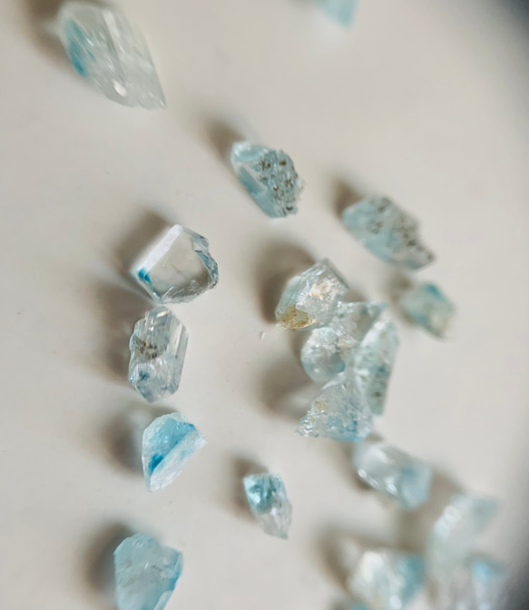  第2張的照片