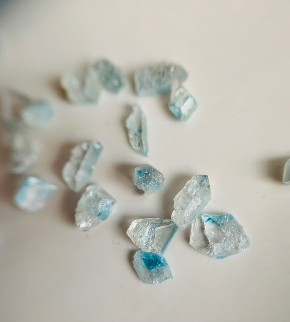  第1張的照片