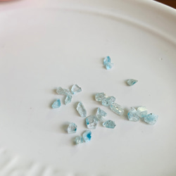  第12張的照片