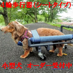 犬の４輪歩行器、犬歩行器、犬車椅子（シートタイプ） 1枚目の画像