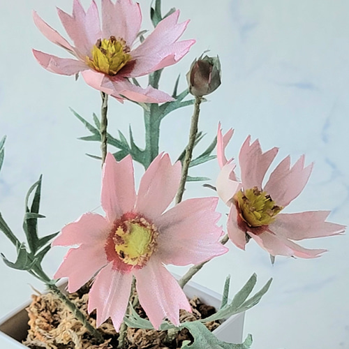 コスモス3輪 鉢植え風 産地直送の布の花屋さん アートフラワー