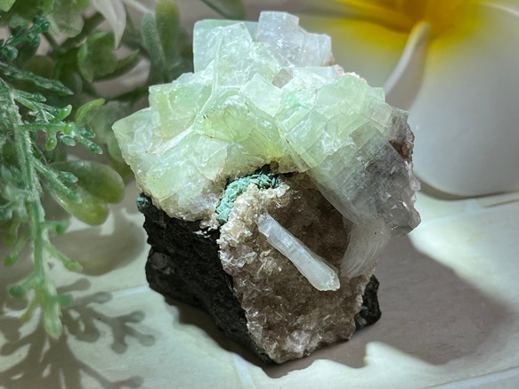 天使の水晶✨ レインボー グリーンアポフィライト 原石 魚眼石 スチル