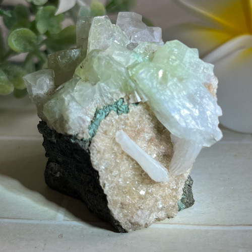 天使の水晶✨ レインボー グリーンアポフィライト 原石 魚眼石 スチル