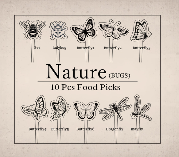 フードピック10本セット//NATURE（BUGS)　アンティーク昆虫 4枚目の画像