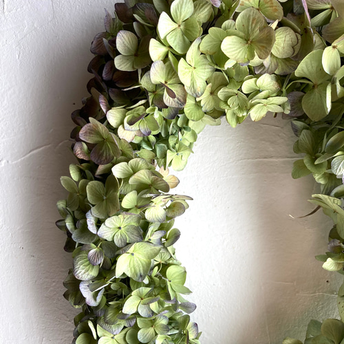 1.アキイロ紫陽花オーバルリース 1.アキイロ紫陽花オーバルリース