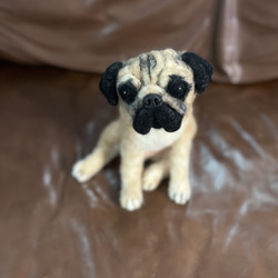 羊毛フェルト犬オーダー 羊毛フェルト ao sunsun 通販 16609308