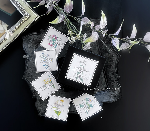 【名入れ】クリスタルペーパーウェイト　ボタニカルアート　カリグラフィー 8枚目の画像