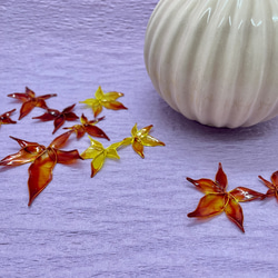 お家で紅葉を楽しみませんか。（橙）　秋の演出　秋の装い 1枚目の画像