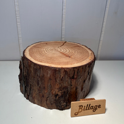 イチョウの切り株作業台 Lサイズ その他インテリア雑貨 B illage 通販