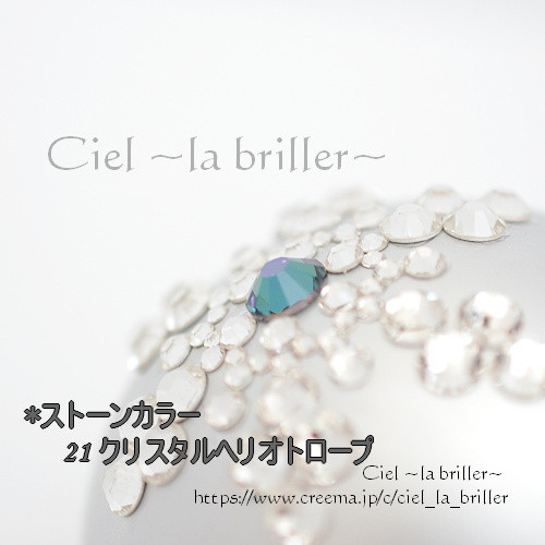 シエルブリエメインのブルーカラー入り9株セット Le Ciel Bleu ～ル
