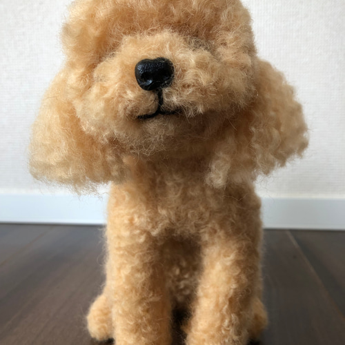 送料込み。お値下げ。トイプードルレッドちゃん。羊カット♡立ちポーズ 送料込み。お値下げ。トイプードルレッドちゃん。羊カット♡立ち