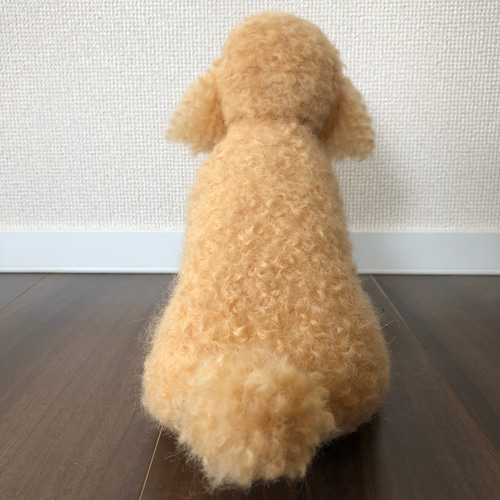 おとママ羊毛フェルト アプリコットトイプードル いい子にお座り