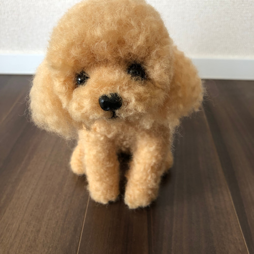 おとママ羊毛フェルト アプリコットトイプードル いい子にお座り