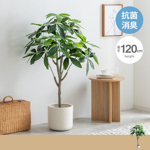 光触媒　人工観葉植物　ウォールグリーン　フェイク　フラワー　マッサンアレンジg1 光触媒 人工観葉植物 ウォールグリーン フェイク フラワー
