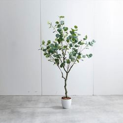 【高さ130cm】光触媒人工観葉植物　ユーカリ 【WRK162011】 7枚目の画像