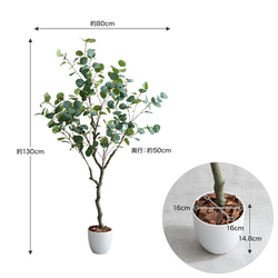 【高さ130cm】光触媒人工観葉植物　ユーカリ 【WRK162011】 8枚目の画像