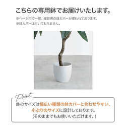 【高さ95cm】光触媒人工観葉植物　アレカヤシ 【WRK162012】 10枚目の画像