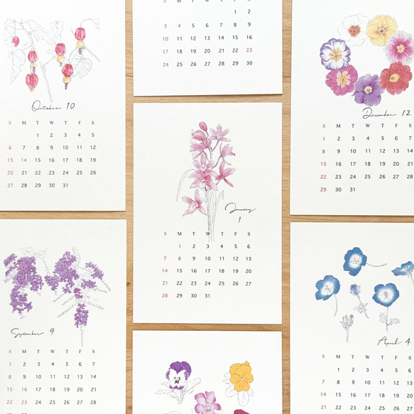 2024 フラワーカレンダー 12ヶ月の花 シンプル版 はがきサイズ【C】 10枚目の画像