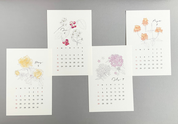 2024 フラワーカレンダー 12ヶ月の花 シンプル版 はがきサイズ【C】 7枚目の画像