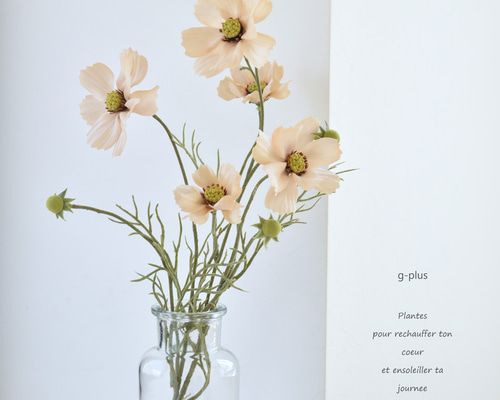 3d901f33c6eb40ade7706bc23b02f2