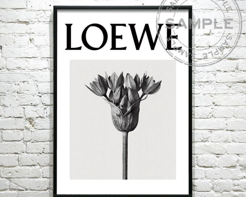 【50×70】ポスター インテリア LOEWE ロエベ 北欧 フラワー ロゴ 50×70】ポスター インテリア LOEWE ロエベ 北欧 フラワー ロゴ
