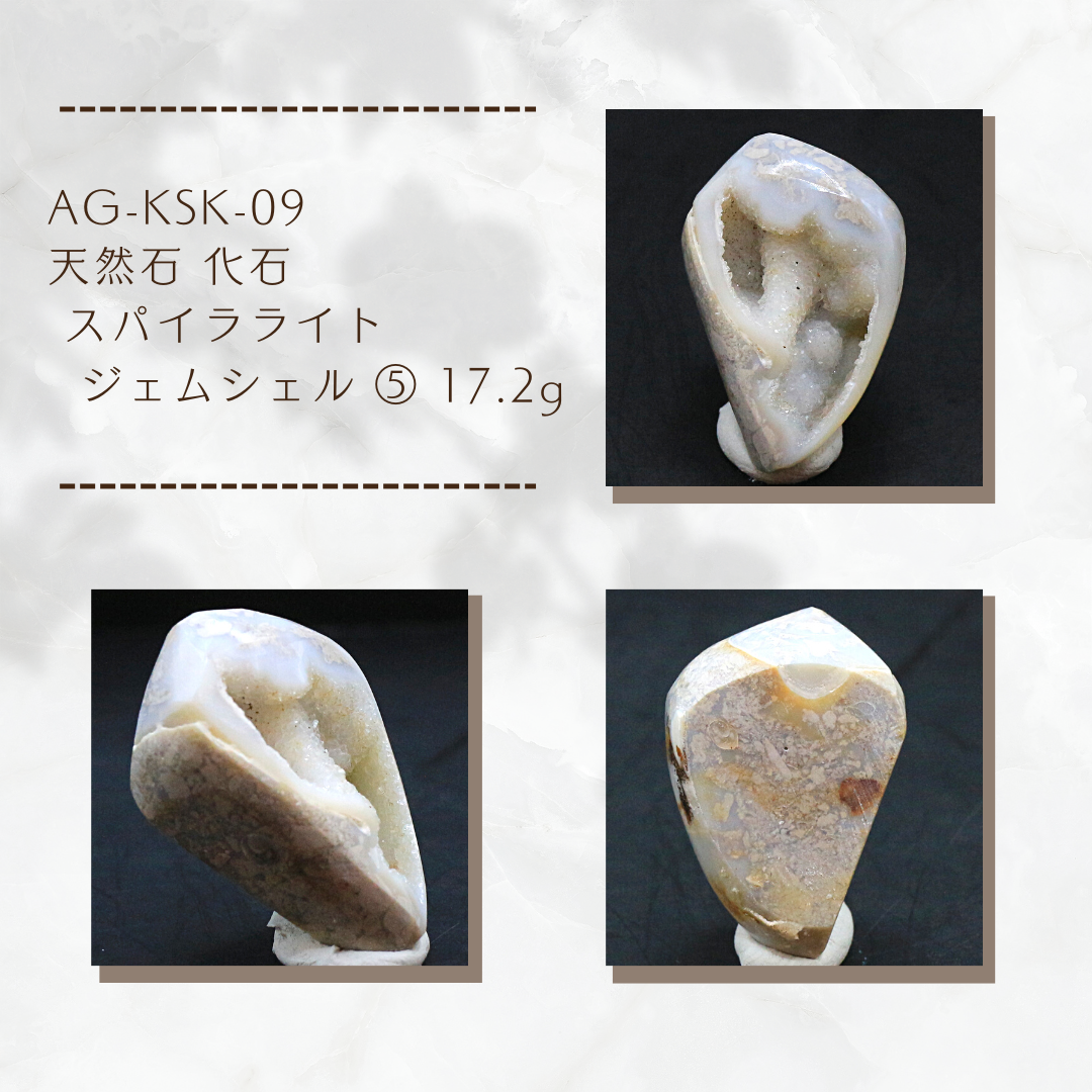 AG-KSK-09　天然石 化石 スパイラライト （ジェムシェル）