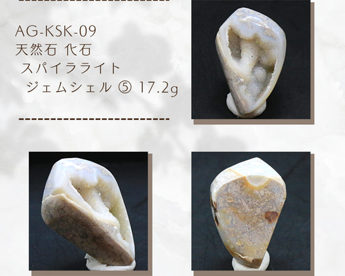 744b5e9904e600ca20fd44c5f58281