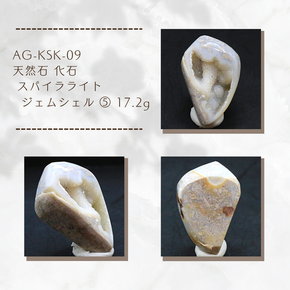 AG-KSK-09 天然石 化石 スパイラライト （ジェムシェル） 天然石