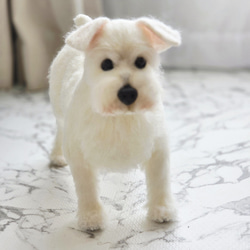 羊毛フェルト豆柴 柴犬子犬 完成品 羊毛フェルト SweetDog ふぅ 通販