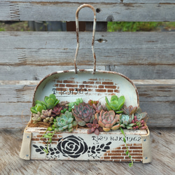 リメイク缶　デザインチリトリ缶 リメイク缶 デザインチリトリの通販 by さゆり ｜ラクマ