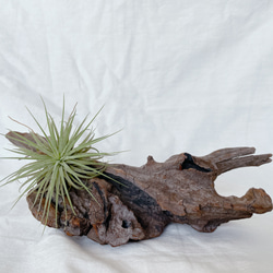 流木 インテリア 置物 オブジェ その他インテリア雑貨 mère mer 通販