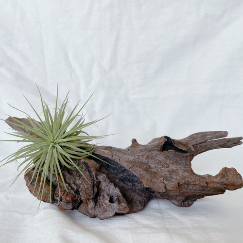 流木 インテリア 置物 オブジェ その他インテリア雑貨 mère mer 通販