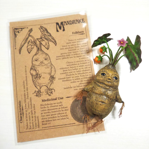 マンドレイク花果実 鉢付き その他置物 handmade 夢鹿 通販 16614058