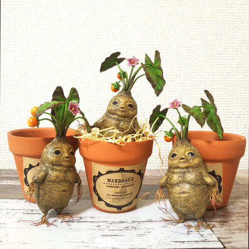 マンドレイク花果実 鉢付き その他置物 handmade 夢鹿 通販 16614058