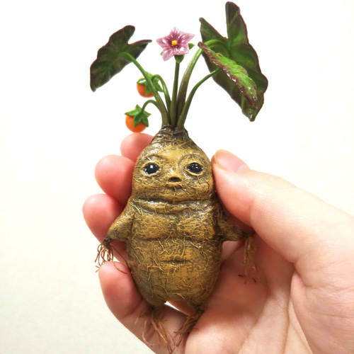 マンドレイク花果実 鉢付き その他置物 handmade 夢鹿 通販 16614058