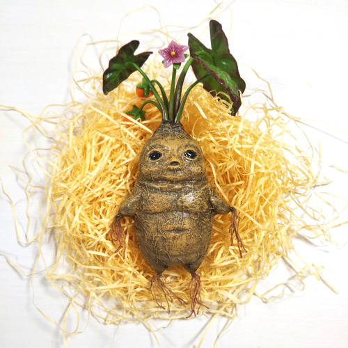 マンドレイク花果実 鉢付き その他置物 handmade 夢鹿 通販 16614058