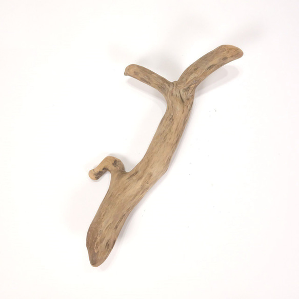 【温泉流木】元気いっぱい楽しそうな形をした変形流木 流木素材 インテリア素材 オブジェ レイアウト 1枚目の画像