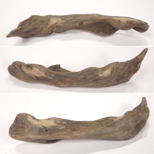 流木【火焔】 流木【火焔】