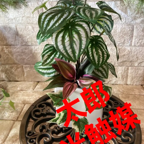 光触媒 人工観葉植物 ウォールグリーン フェイクグリーン スイカぺぺ 
