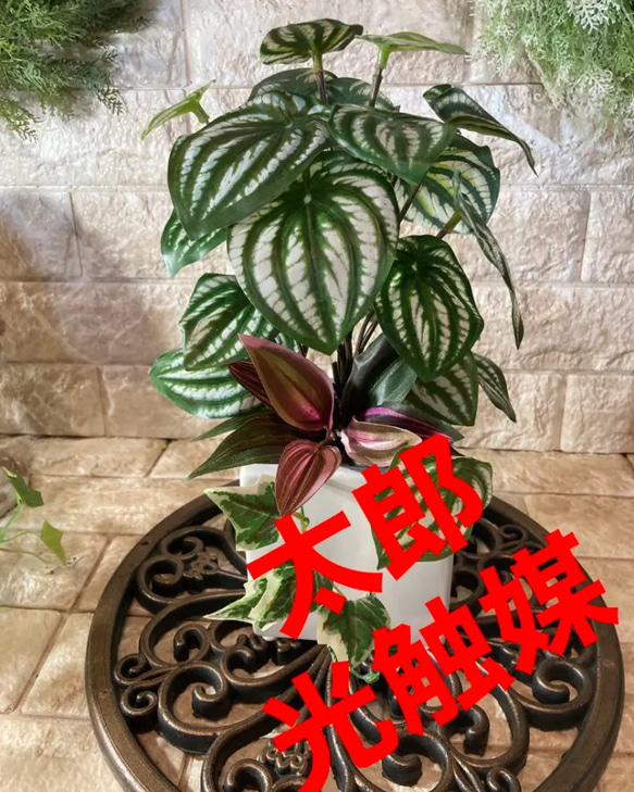 光触媒人工観葉植物ウォールグリーンフェイクグリーンフラワーバーガンディ