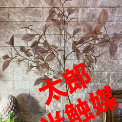 光触媒 人工観葉植物 ウォールグリーン フェイクグリーン ガジュマル