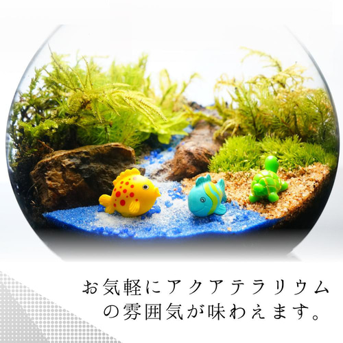 No.296 苔アート　苔テラリウム　完成品 No.296 苔アート 苔テラリウム 完成品 No.296 苔アート 苔