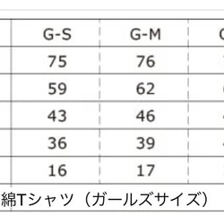  第5張的照片