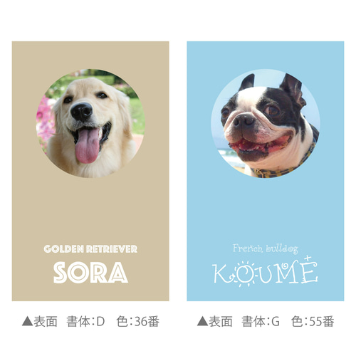 両面100枚】 犬 猫 ペット 名刺 カード オーダーメイド オリジナル