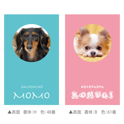 いぬ　カードまとめ 23-09172-1_1.jpg