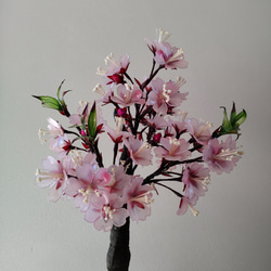 桜♡鉢植え♡アメリカンフラワー♡ディップアート♡雛飾り♡お雛様 4枚目の画像