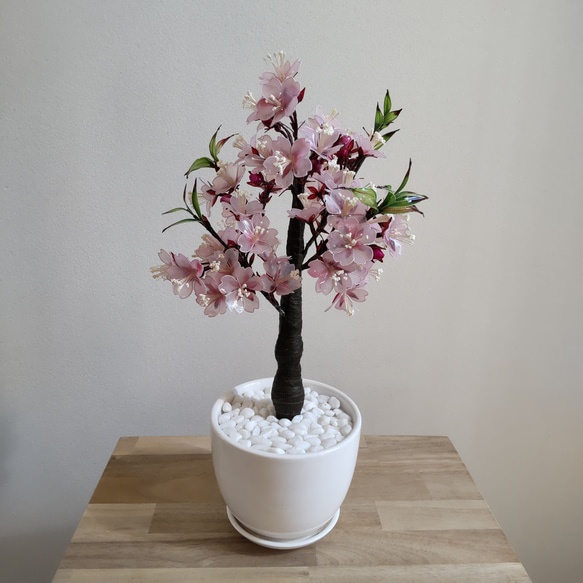 桜♡鉢植え♡アメリカンフラワー♡ディップアート♡雛飾り♡お雛様 1枚目の画像