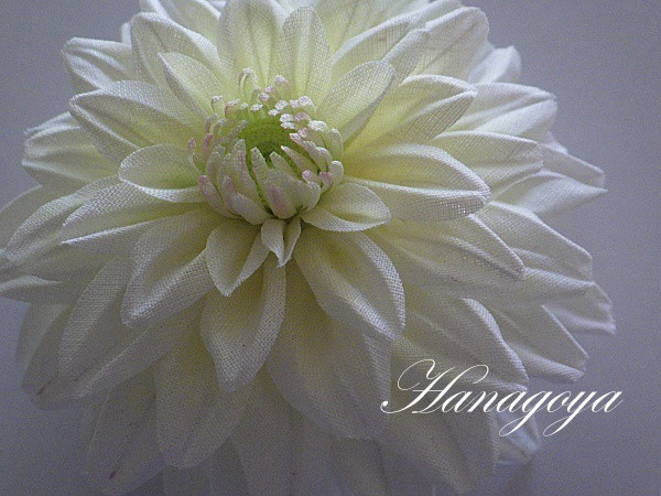 ダリア（白蝶）の髪飾り